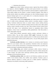 Ūkinės finansinės veiklos efektyvumo didinimas autopaslaugų įmonėje: "Ratas" 15 puslapis