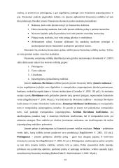Ūkinės finansinės veiklos efektyvumo didinimas autopaslaugų įmonėje: "Ratas" 19 puslapis