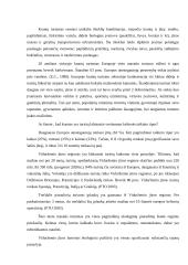 Turizmo sąvoka ir esmė 4 puslapis