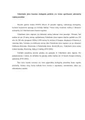 Turizmo sąvoka ir esmė 5 puslapis