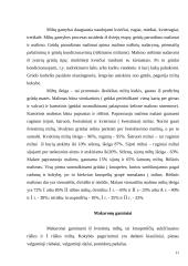 Grūdai ir jų produktai 11 puslapis