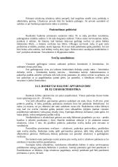 Maitinimo organizavimas ir aptarnavimas - pobūviai 9 puslapis