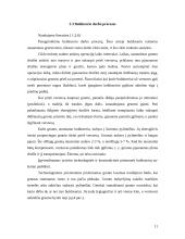 Buldozeris 11 puslapis