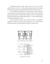 Buldozeris 12 puslapis