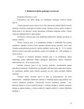 Buldozeris 13 puslapis