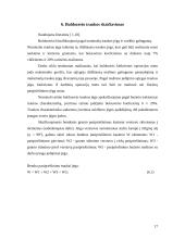 Buldozeris 17 puslapis