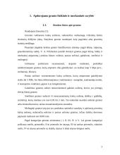 Buldozeris 3 puslapis