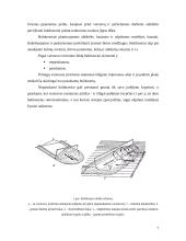 Buldozeris 7 puslapis