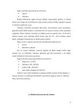 Buldozeris 8 puslapis