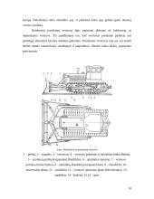 Buldozeris 10 puslapis