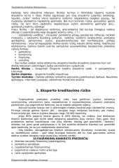 Eksporto kredito draudimas 2 puslapis