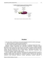 Eksporto kredito draudimas 19 puslapis