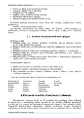 Eksporto kredito draudimas 7 puslapis