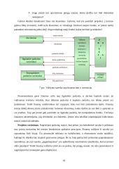 Finansų valdymo funkcijų reikšmė įmonėje 19 puslapis