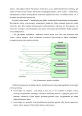 Finansų valdymo funkcijų reikšmė įmonėje 8 puslapis