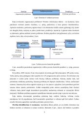 Finansų valdymo funkcijų reikšmė įmonėje 10 puslapis