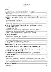 Gaisro ir sprogimo pavojaus technologiniuose procesuose įvertinimo būdai 2 puslapis