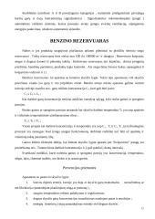 Gaisro ir sprogimo pavojaus technologiniuose procesuose įvertinimo būdai 12 puslapis