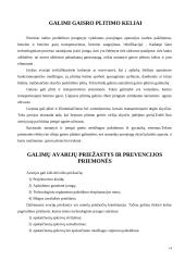 Gaisro ir sprogimo pavojaus technologiniuose procesuose įvertinimo būdai 14 puslapis