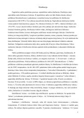 Gaisro ir sprogimo pavojaus technologiniuose procesuose įvertinimo būdai 4 puslapis