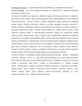 Įmonės įėjimas į tarptautinę rinką. Formos ir galimybės 11 puslapis