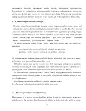 Įmonės įėjimas į tarptautinę rinką. Formos ir galimybės 13 puslapis