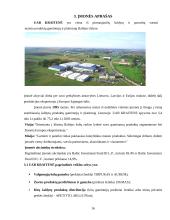 Įmonės įėjimas į tarptautinę rinką. Formos ir galimybės 16 puslapis