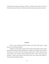 Įmonės įėjimas į tarptautinę rinką. Formos ir galimybės 19 puslapis