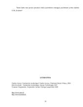 Įmonės įėjimas į tarptautinę rinką. Formos ir galimybės 20 puslapis