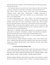 Įmonės įėjimas į tarptautinę rinką. Formos ir galimybės 6 puslapis