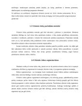 Įmonės įėjimas į tarptautinę rinką. Formos ir galimybės 7 puslapis