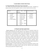 Įmonės įėjimas į tarptautinę rinką. Formos ir galimybės 10 puslapis