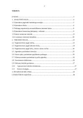 Kainos įtaka turizmo agentūros paslaugoms 2 puslapis