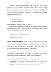 Kainos įtaka turizmo agentūros paslaugoms 13 puslapis