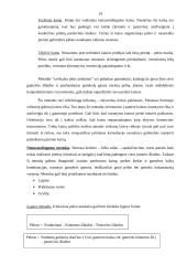 Kainos įtaka turizmo agentūros paslaugoms 14 puslapis