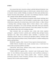 Kainos įtaka turizmo agentūros paslaugoms 3 puslapis