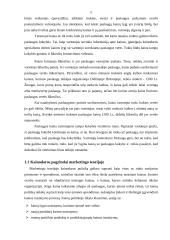 Kainos įtaka turizmo agentūros paslaugoms 5 puslapis