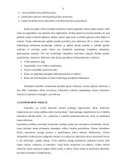 Kainos įtaka turizmo agentūros paslaugoms 6 puslapis