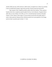 Karpinių menas – nuo tradicijos iki moderno 13 puslapis