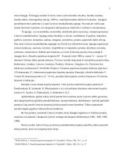 Karpinių menas – nuo tradicijos iki moderno 7 puslapis