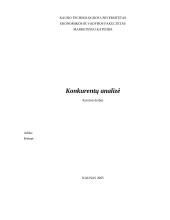 Konkurentų analizė 1 puslapis
