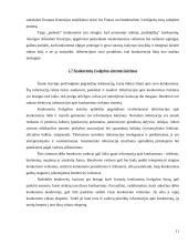 Konkurentų analizė 11 puslapis