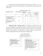 Konkurentų analizė 13 puslapis