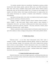 Konkurentų analizė 14 puslapis