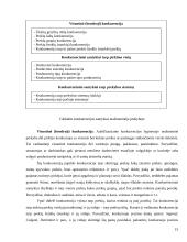 Konkurentų analizė 15 puslapis
