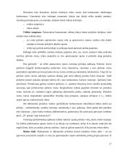 Konkurentų analizė 17 puslapis