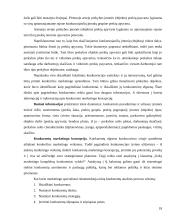 Konkurentų analizė 18 puslapis