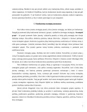 Konkurentų analizė 7 puslapis