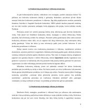 Konkurentų analizė 8 puslapis