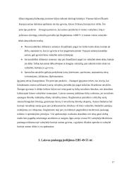 Laisvo judėjimo principai Europos Sąjungos (ES) vidaus rinkoje 17 puslapis